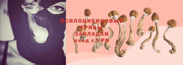сатива Абинск