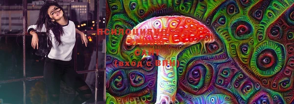 сатива Абинск